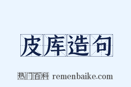 皮库造句是什么意思的图片